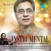 Deepak Pandit
