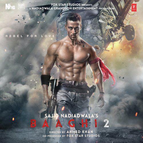 Baaghi 2 (2018)