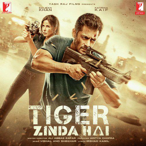 Tiger Zinda Hai (2017)