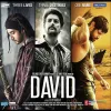 David (2013)